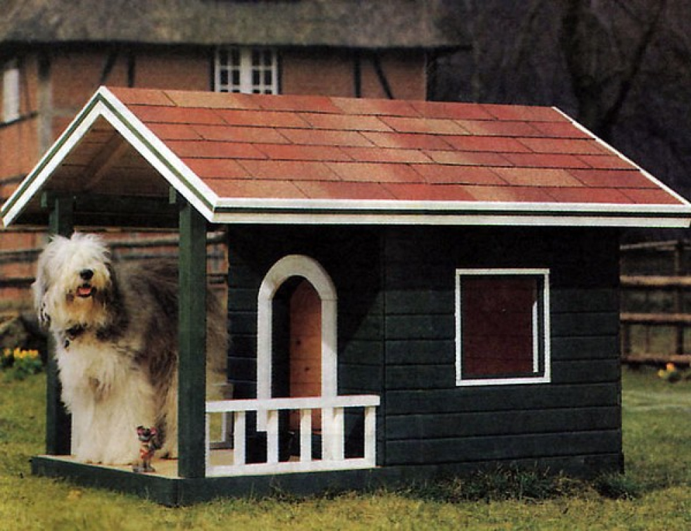 Будка купить теплая. Собачья конура будка. Дом для собаки. Оригинальные собачьи будки. Красивые домики для собак.