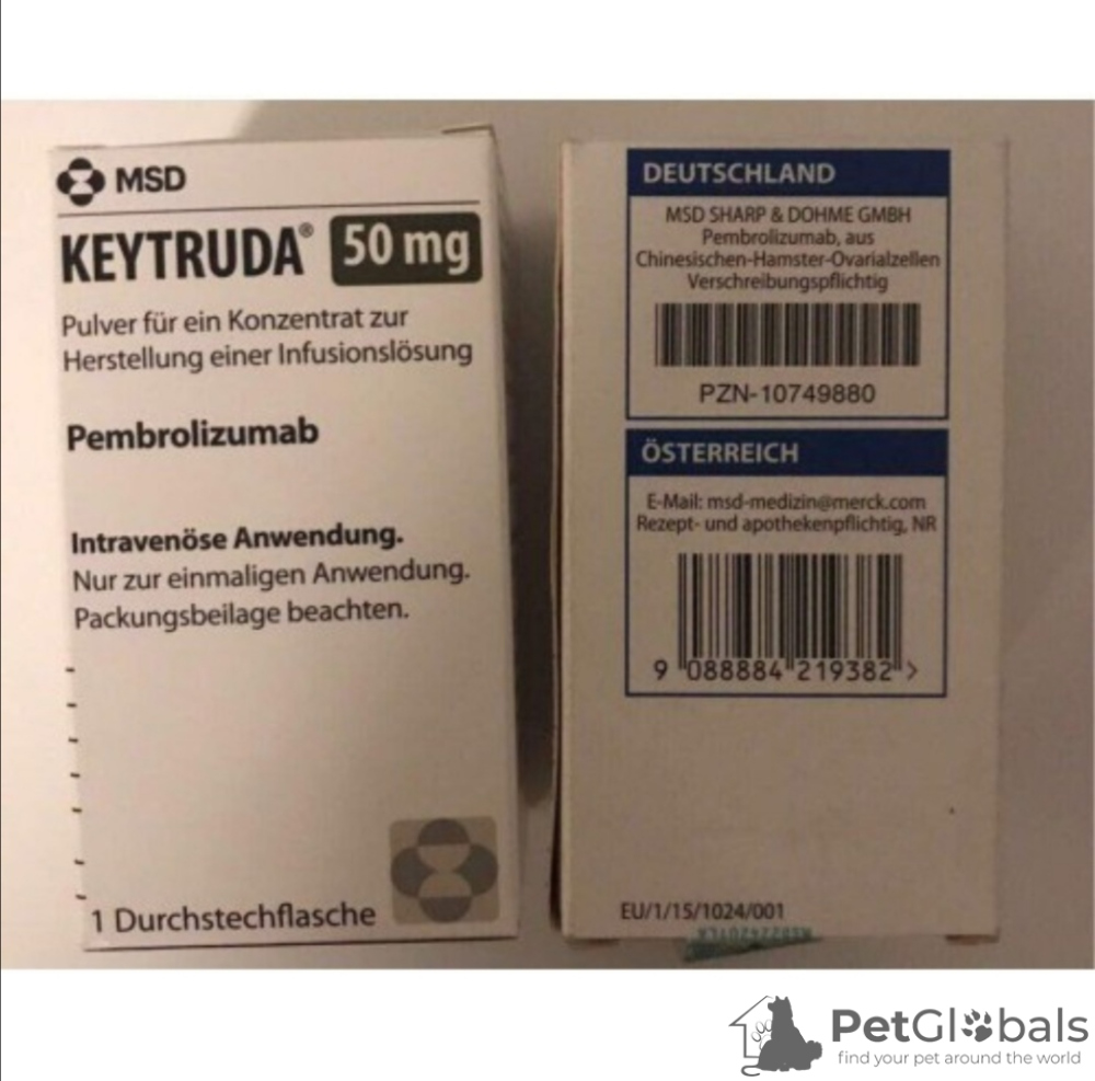 Пембролизумаб 200мг цена. Кейтруда 50 мг. Keytruda 100 мг. Китруда концентрат для приготовления раствора для инфузий. Пембролизумаб 200.