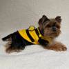 Zdjęcie №1. yorkshire terrier - na sprzedaż w Caracas | negocjowane | Zapowiedź №47986