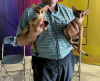 Zdjęcie №2 do zapowiedźy № 64610 na sprzedaż  kot abisyński - wkupić się Białoruś od żłobka, hodowca