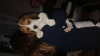 Zdjęcie №1. beagle (rasa psa) - na sprzedaż w Treviso | 1256zł | Zapowiedź №96088