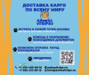 Zdjęcie №2. Usługi dostawy i transportu kotów i psów w Federacja Rosyjska. Price - negocjowane. Zapowiedź № 9386