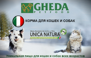 Zdjęcie №1. Karma dla psów „GHEDA Proper Form Professional Breeders” w mieście Petersburg. Price - Negocjowane. Zapowiedź № 4238
