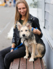 Zdjęcie №4. Sprzedam pies nierasowy w Petersburg. prywatne ogłoszenie - cena - Bezpłatny
