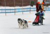 Dodatkowe zdjęcia: Śliczne szczenięta husky