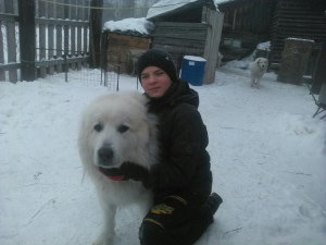 Zdjęcie №4. Sprzedam pirenejski pies górski w Krasnojarsk. prywatne ogłoszenie - cena - Negocjowane