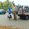 Zdjęcie №1. Usługi dostawy i transportu kotów i psów w Mińsk. Zapowiedź № 9413