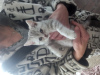 Zdjęcie №3. Brytyjski kot marmurkowy. Federacja Rosyjska
