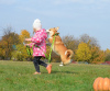 Dodatkowe zdjęcia: Niesamowicie piękna i bardzo urocza! Baby Welsh Corgi Pembroke.