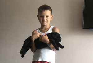 Zdjęcie №4. Sprzedam cane corso w Mińsk.  - cena - 3391zł