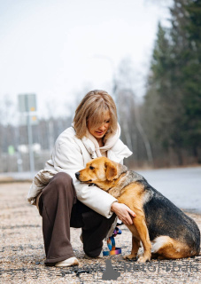 Zdjęcie №2 do zapowiedźy № 139188 na sprzedaż  pies nierasowy - wkupić się Federacja Rosyjska 