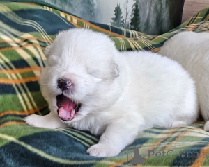 Zdjęcie №3. Jacek Widlarz. Polska