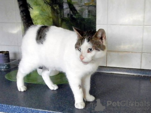 Zdjęcie №3. ONI to Lass de Sonne yn dein Herz!. Niemcy