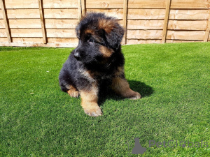 Zdjęcie №2 do zapowiedźy № 135291 na sprzedaż   - wkupić się Republika Czeska 