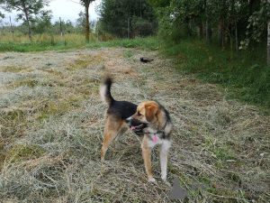 Zdjęcie №3. Ultra to młoda, miła, czuła dziewczyna, która szuka swojej kochającej rodziny!. Federacja Rosyjska