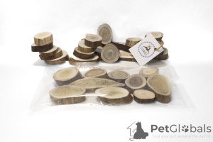 Zdjęcie №3. Cungal Wymiarowy róg północnego jelenia i łosia. Federacja Rosyjska