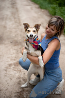 Zdjęcie №3. Umysł jest wzruszającym dzieckiem, szuka domu od 10 miesięcy.. Federacja Rosyjska