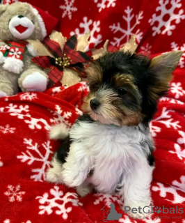 Zdjęcie №2 do zapowiedźy № 126839 na sprzedaż   - wkupić się Francja 