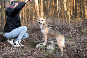 Zdjęcie №3. Paws Betty mają 1 rok, tylko 11 kg szczęścia!. Federacja Rosyjska