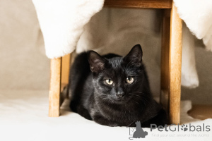 Zdjęcie №3. Kosmiczny księżyc. Białoruś