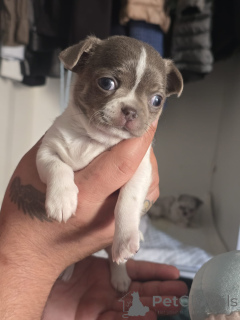 Zdjęcie №4. Sprzedam  w Bat Yam. prywatne ogłoszenie - cena - negocjowane