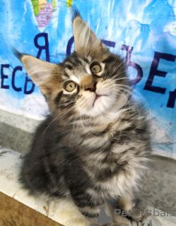 Zdjęcie №3. Rady skał main-kun są sprzedawane. Federacja Rosyjska