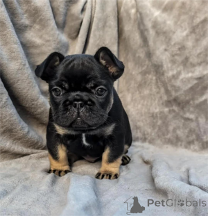 Zdjęcie №1.  - na sprzedaż w Erkrath | 1674zł | Zapowiedź №154317