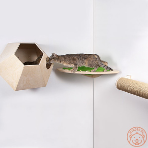 Zdjęcie №2. Meble dla psów i kotów w Federacja Rosyjska. Price - 567zł. Zapowiedź № 5277