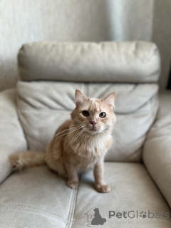 Zdjęcie №3. Urocze YouTube. Białoruś