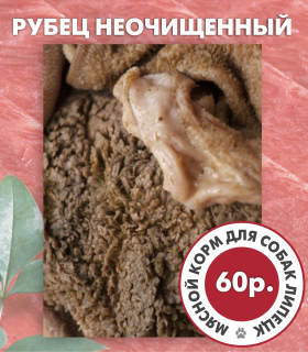 Zdjęcie №4. Naturalna pasza mięsna, podroby w Federacja Rosyjska. Zapowiedź № 6516