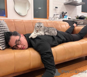 Zdjęcie №3. Bardzo nam przykro, że nasz najnowszy miot wkrótce pojedzie do nowego domu!!. Niemcy