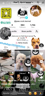 Zdjęcie №2. Hotel dla zwierząt w Zjednoczone Emiraty Arabskie. Price - negocjowane. Zapowiedź № 145660