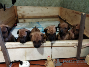 Zdjęcie №3. Irena Kuskowska. Polska