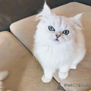 Zdjęcie №1.  - na sprzedaż w Wiedeń | Bezpłatny | Zapowiedź № 162285