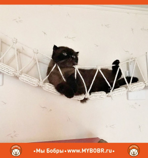 Zdjęcie №2. Meble dla psów i kotów w Federacja Rosyjska. Price - 258zł. Zapowiedź № 5280