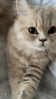 Zdjęcie №3. Tbilisi. Gruzja