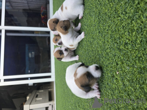 Zdjęcie №3. Aszdod. Izrael