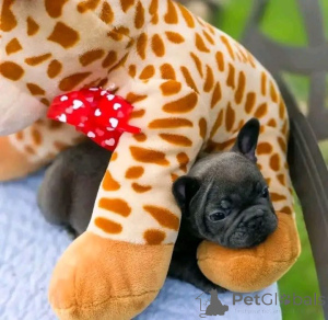 Zdjęcie №1.  - na sprzedaż w Bad Wildungen | negocjowane | Zapowiedź №167016