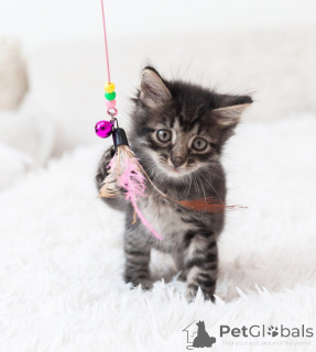 Zdjęcie №3. Troj dzieci pilnie szuka domu.. Federacja Rosyjska