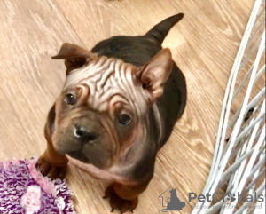 Zdjęcie №2 do zapowiedźy № 9629 na sprzedaż   - wkupić się Federacja Rosyjska od żłobka