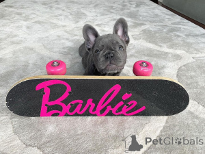 Zdjęcie №2 do zapowiedźy № 164606 na sprzedaż   - wkupić się Kanada 