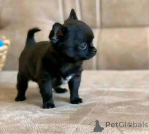 Zdjęcie №1.  - na sprzedaż w Texas City | negocjowane | Zapowiedź №138791