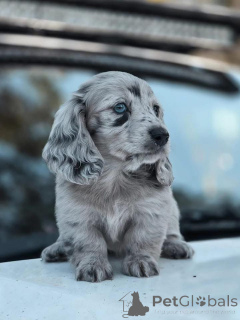 Zdjęcie №2 do zapowiedźy № 162701 na sprzedaż   - wkupić się Belgia 