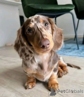 Zdjęcie №1.  - na sprzedaż w Madryt | negocjowane | Zapowiedź №167012