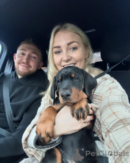 Zdjęcie №1.  - na sprzedaż w Berlin | 3109zł | Zapowiedź №140569