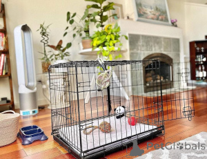 Zdjęcie №1.  - na sprzedaż w Anderlecht | negocjowane | Zapowiedź №161686