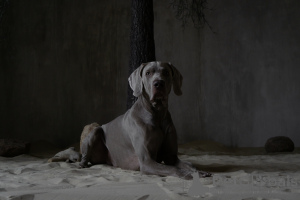 Zdjęcie №3. Ekaterina Ryzhikova w Federacja Rosyjska. Zapowiedź № 139215