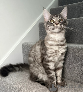 Zdjęcie №3. Jedna dziewczyna, jeden chłopak gotowy do wyjścia. USA