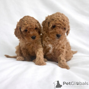 Zdjęcie №1.  - na sprzedaż w Baierbrunn | negocjowane | Zapowiedź №166373