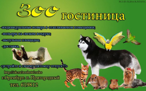 Zdjęcie №1. Hotel dla zwierząt w mieście Orenburg. Price - Negocjowane. Zapowiedź № 2290